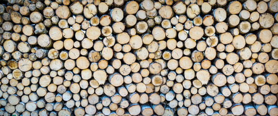 Stack of tree trunks. Texture background