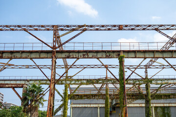 Fototapeta premium roller coaster ride