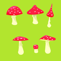 Amanita set vector clipart. A set of fly agaric mushrooms of different shapes. Vector illustration of mushrooms on a green background.