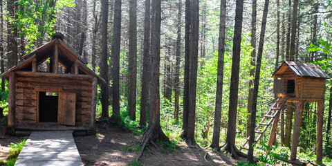  Traditional hunting winter quarters and labaz in the Siberian cedar taiga in summer.