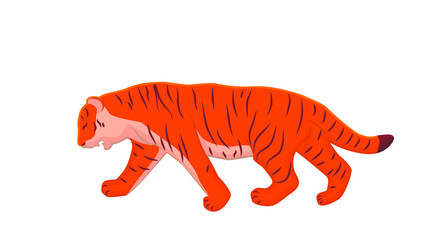 Fototapeta na wymiar Red tiger walks slowly to the left. Hand drawing tiger