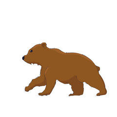 Fototapeta premium Cute bear cartoon