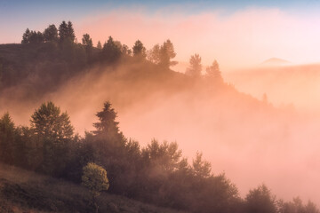 Golden morning fog covered the carpathian mountain valley