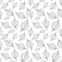 Falling leaves seamless pattern. Monochrome foliage boundless background. Black and white botanic endless texture. Leaves repeating surface design. Herbal backdrop.