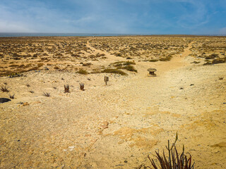 Solitude in a desert, Espingueira, Cape Verde. White clouds in the sky, tiny paths in sand, shabby flora growing in the terrain. Selective focus on the horizon, blurred background.