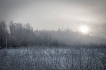 Fog in a meadow in winter, Vilnius, Lithuania. Morning sunrise, dark forest view, fresh snow in the field. Selective focus on the woods, blurred background.