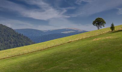 Paysage des Vosges