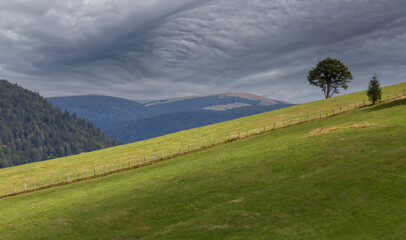 Paysage des Vosges