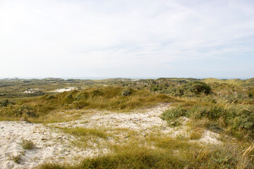 Fototapeta na wymiar the dunes landscape in Haamstede, the Netherlands