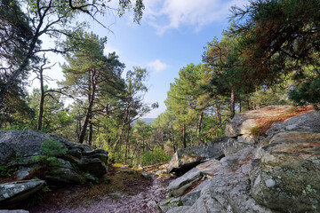Fototapeta na wymiar Avon rock in Fontainebleau forest