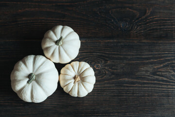 Ripe pumpkins on a dark wooden background. Minimalistic concept for Thanksgiving card or background.