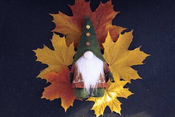 autumn gnome in leaves