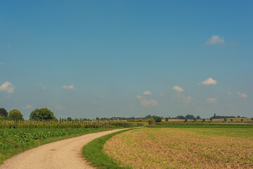 Bending gravel path between agricultural fields with trees on the horizon under a blue cloudy sky.