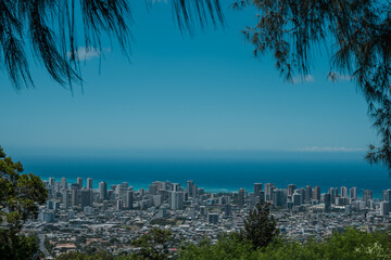 City and ocean view of Honolulu Oahu Hawaii. Tantalus Lookout - Puu Ualakaa State Park. Casuarina...