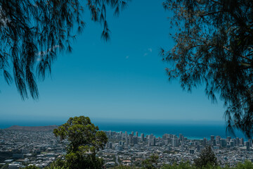 City and ocean view of Honolulu Oahu Hawaii. Tantalus Lookout - Puu Ualakaa State Park. Casuarina...