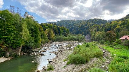 Fototapeta na wymiar Mountain river in autumn flowing among a beautiful forest in the Carpathians, Ukraine.