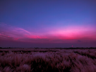 Fototapeta premium A beautiful evening with a colorful sky. 