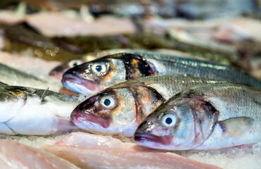 Sea bass on ice at a market in France