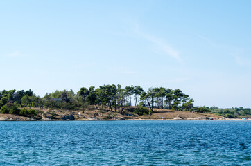 Beach with Trees and Sea