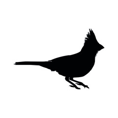 Cardinal Bird Silhouette Vector Illustration