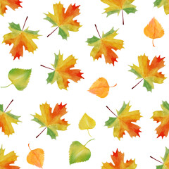 Fototapeta na wymiar Seamless pattern of autumn maple and birch leaves. Bright leaf fall. Modern pattern. Botanical composition. You can use it for your own design.