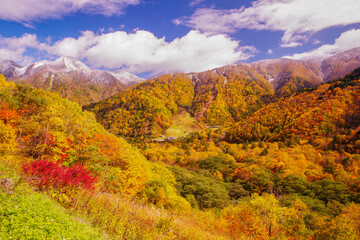 秋の飛騨高山・奥飛騨温泉郷の紅葉