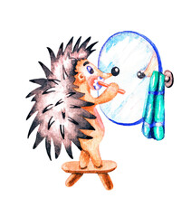 Hedgehog and mirror. Watercolor