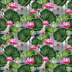 Pattern of pink lotus. Image of a water pink lily. Hand drawing with colored pencils and watercolors.