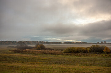 Fototapeta na wymiar Landscape of the morning October field