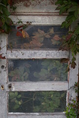 Faded waiting room lettering on old door with brush growing inside