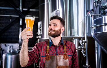 Young brewer wearing a leather apron is testing beer at a modern brewery