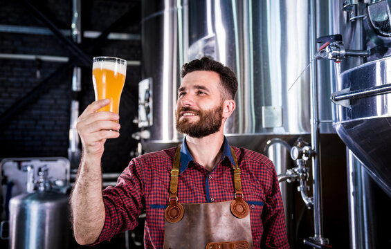 Young brewer wearing a leather apron is testing beer at a modern brewery