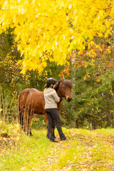 Icelandic horse in autumn season enviroment in Finland. Female rider walking the horse.