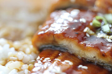 Japanese food eel grilled with rice Unagi don in close up
