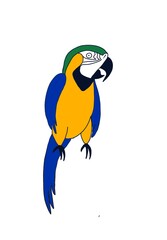 blue and yellow macaw parrot