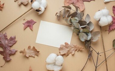 card mockup with cotton flowers, eucaliptus, dry leaves, reeds. autumn mood, fall vibes