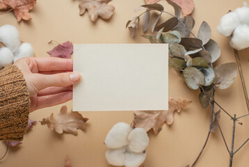 card mockup with cotton flowers, eucaliptus, dry leaves, reeds. autumn mood, fall vibes