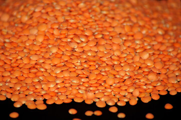 Ungekochte rote Linsen freigestellt auf schwarzem Hintergrund