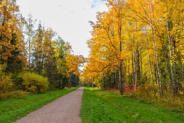 Fototapeta na wymiar Autumn colors in Babolovsky Park