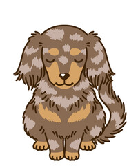 おじぎするダックスフンド（チョコダップル）