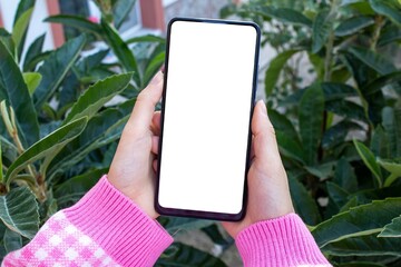 Mockup image of closeup woman hand holding mobile phone with blank white desktop screen at the outdoor.