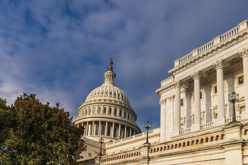 Obraz premium The US Capitol in Washington DC - USA