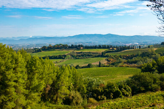 Landscapes in Tuscany along via Francigena between San Miniato and Gambassi Terme