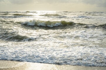 Troubled sea, breaking waves and green water flooded with golden light in the sunset.