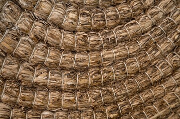 Fototapeta premium Macro shot of handmade archery target