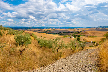 Landscapes in Tuscany along via Francigena between San Miniato and Gambassi Terme