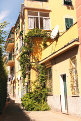 Fototapeta na wymiar sonnige Straße in Santa Margherita Ligure Italien 