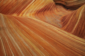 Abstract landscape of convoluted sandstone, Coyote Buttes Paria Canyon-Vermillion Cliffs Wilderness Area, Arizona, USA