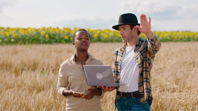 In the middle of wheat field attractive African lady farmer and her husband together analysing the ears of wheat and take some pictures from the phone using laptop to take some notes. 4k