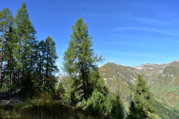 Fototapeta premium Österreich-Alpen
